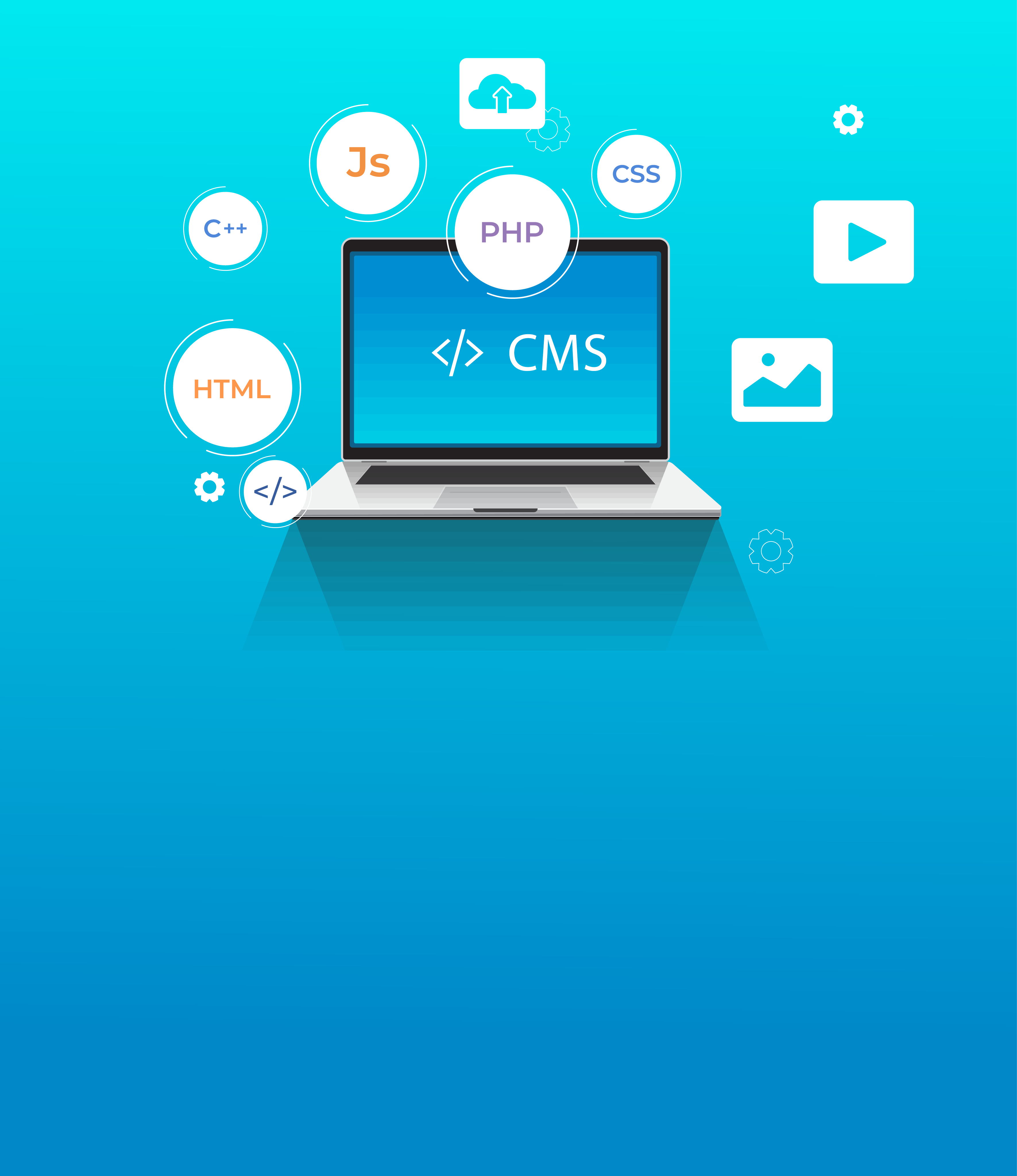 Website Development